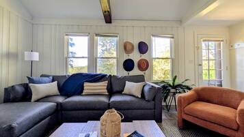 TV, fireplace, books
