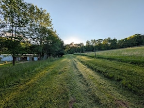 A rural landscape with a dirt path, trees, and a fence.