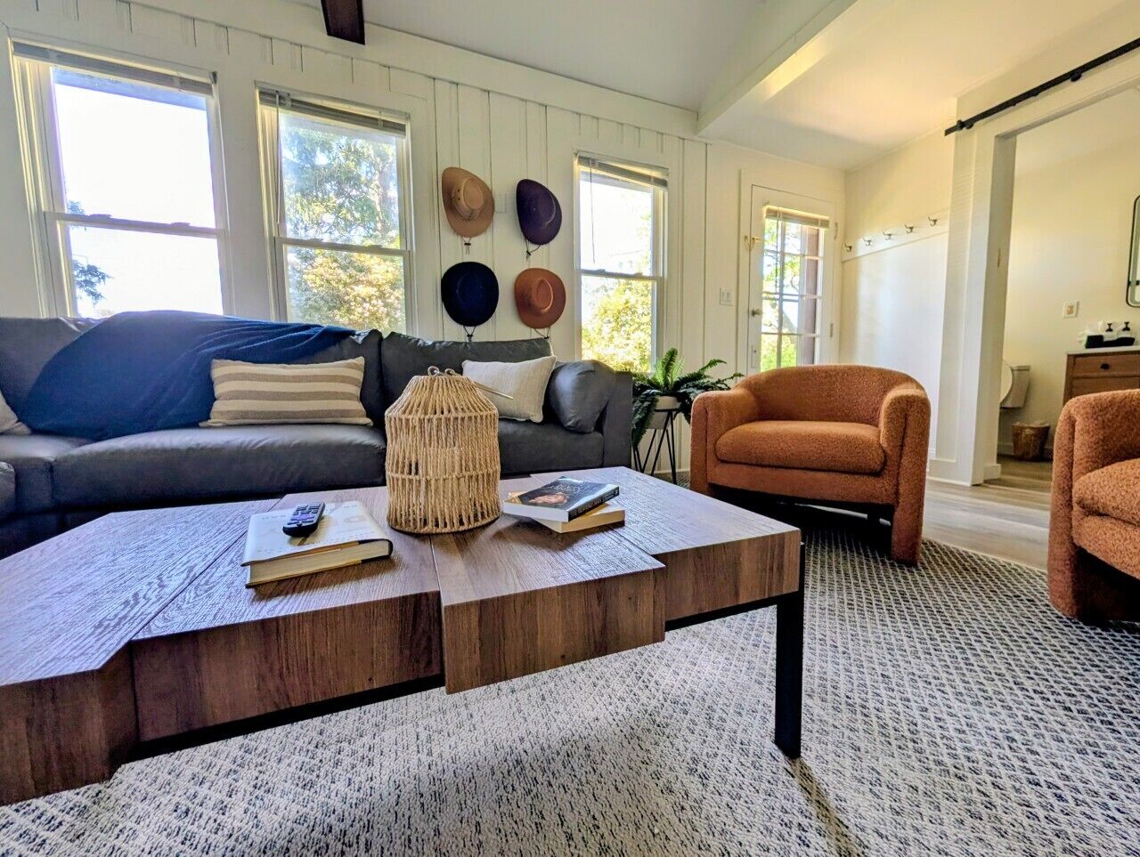 TV, fireplace, books