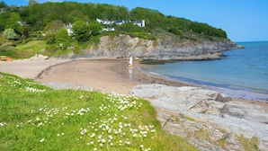 Eine Küstenlandschaft mit einem Sandstrand, grünen Flächen mit weißen Blüten und einer felsigen Uferlinie.