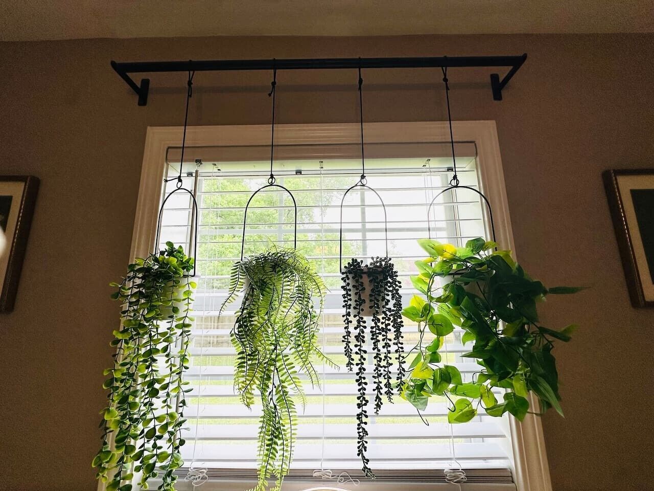 A window with three hanging plants.