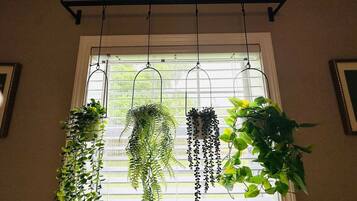 A window with three hanging plants.