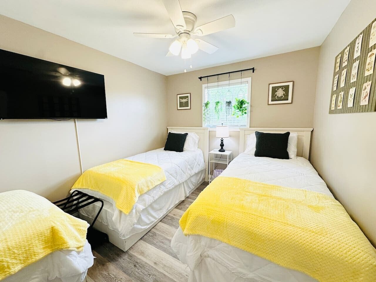 Une chambre avec deux lits, un ventilateur de plafond, une télévision, une fenêtre avec des plantes et des tableaux encadrés au mur.