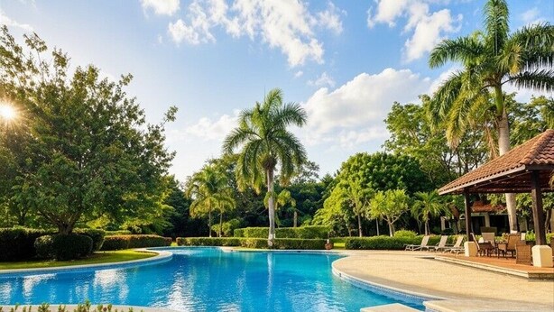Une piscine à bord incurvé, entourée d’une pelouse bien entretenue et de palmiers.