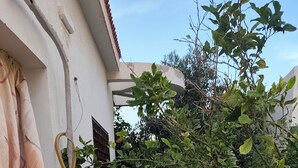 Um edifício branco com um pátio ladrilhado, plantas em vasos e uma pequena mesa.