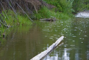 منوع