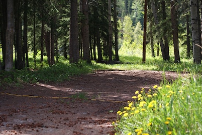 #3 Tent and RV site