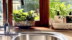 Et køkken med en stålvask, en dekorativ skål med planter og et vindue med udsigt til grøn natur.