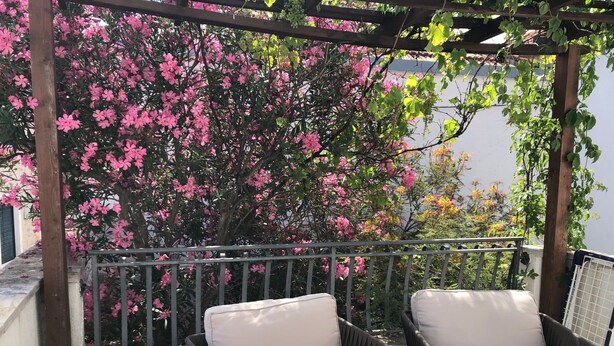 A balcony with two wicker chairs and a pergola with pink flowering trees. - Mala kuca od soli / Whole house for a dream vacation (Jezera)