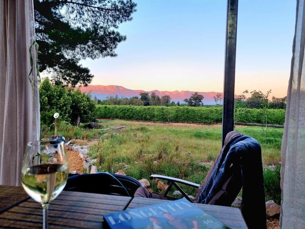A table with a glass of wine, a magazine, and a view of a vineyard and mountains.