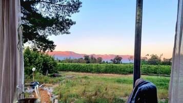 A table with a glass of wine, a magazine, and a view of a vineyard and mountains.