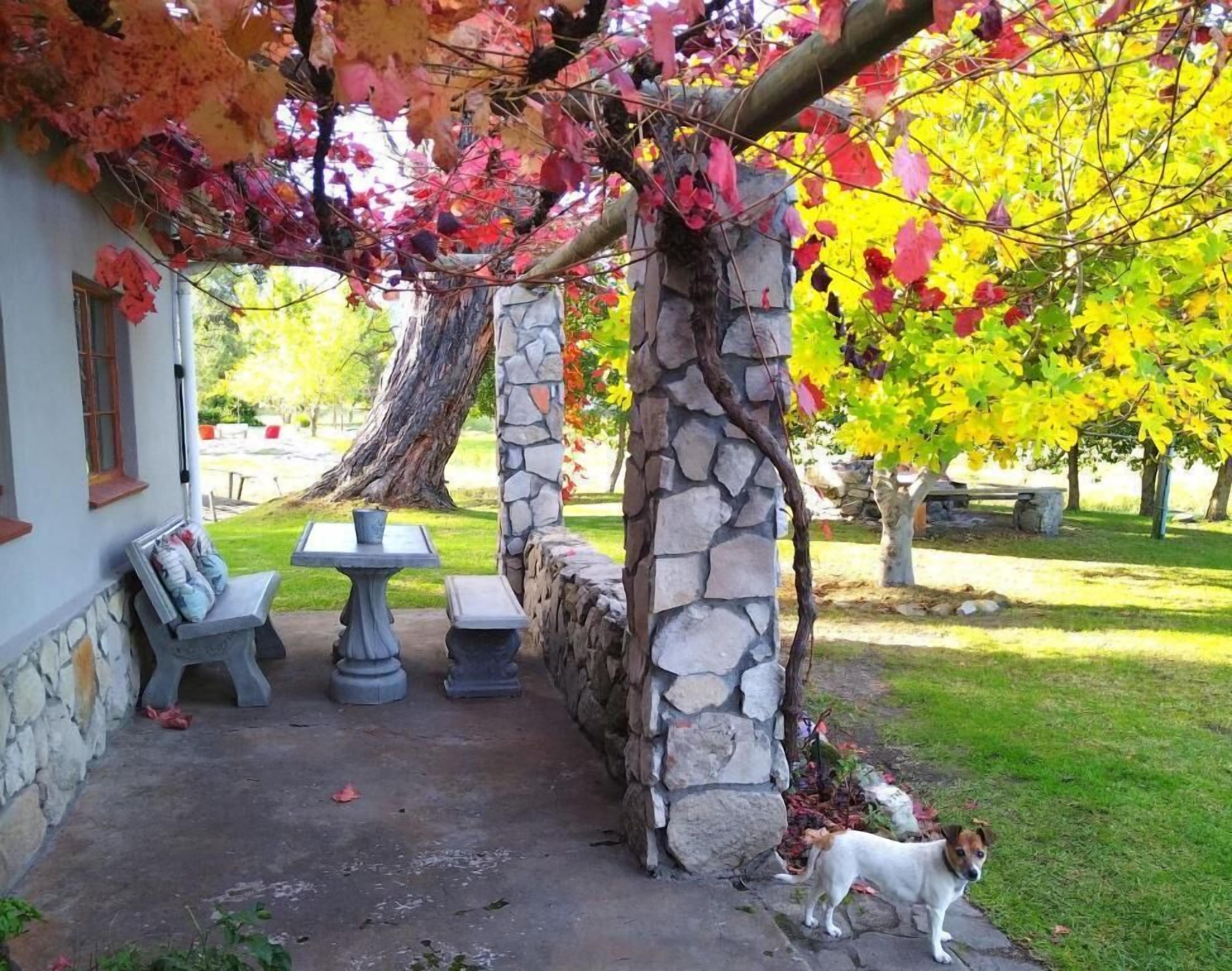 A stone pergola with a bench and table, a dog, and a grassy area with trees.