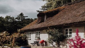 A rustic house with a thatched roof, white walls, and a small garden with potted plants and flowers. - 4 Star Holiday Home in Dronningmolle (Dronningmolle)