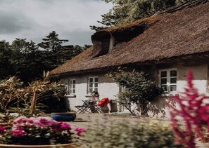 Ferienhaus | Außenbereich