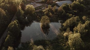 An aerial view of a property with a central water feature surrounded by dense trees, a parking area, and a small building with a sloped roof. - 4 Star Holiday Home in Dronningmolle (Dronningmolle)