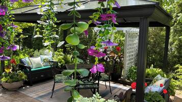 Ein überdachter Außenbereich mit Pergola, umgeben von Pflanzkübeln und Blumen.