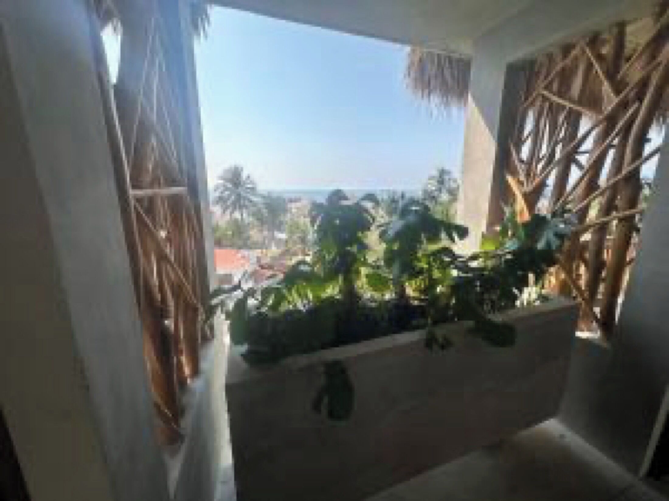 Vista desde la propiedad