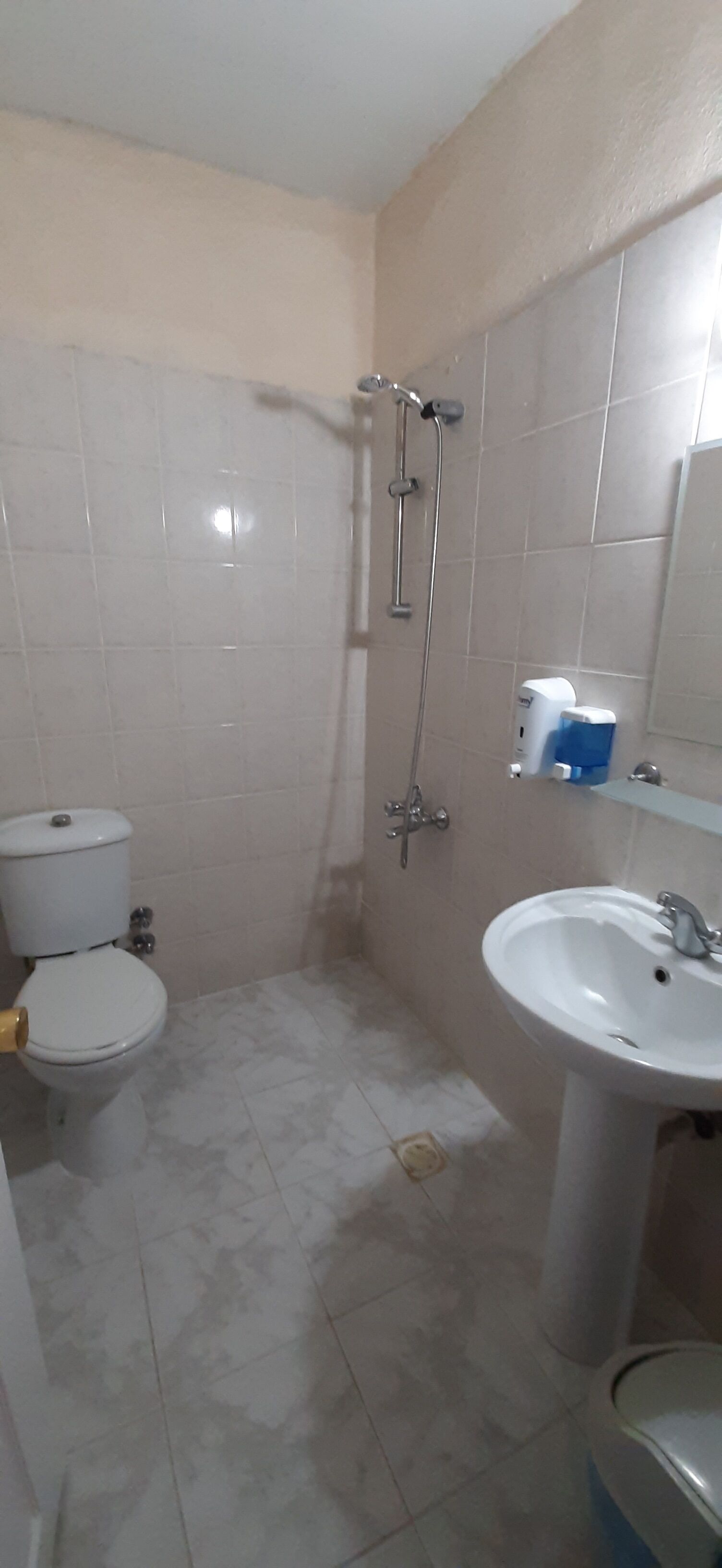 Une salle de bain avec des toilettes, une douche et un lavabo.