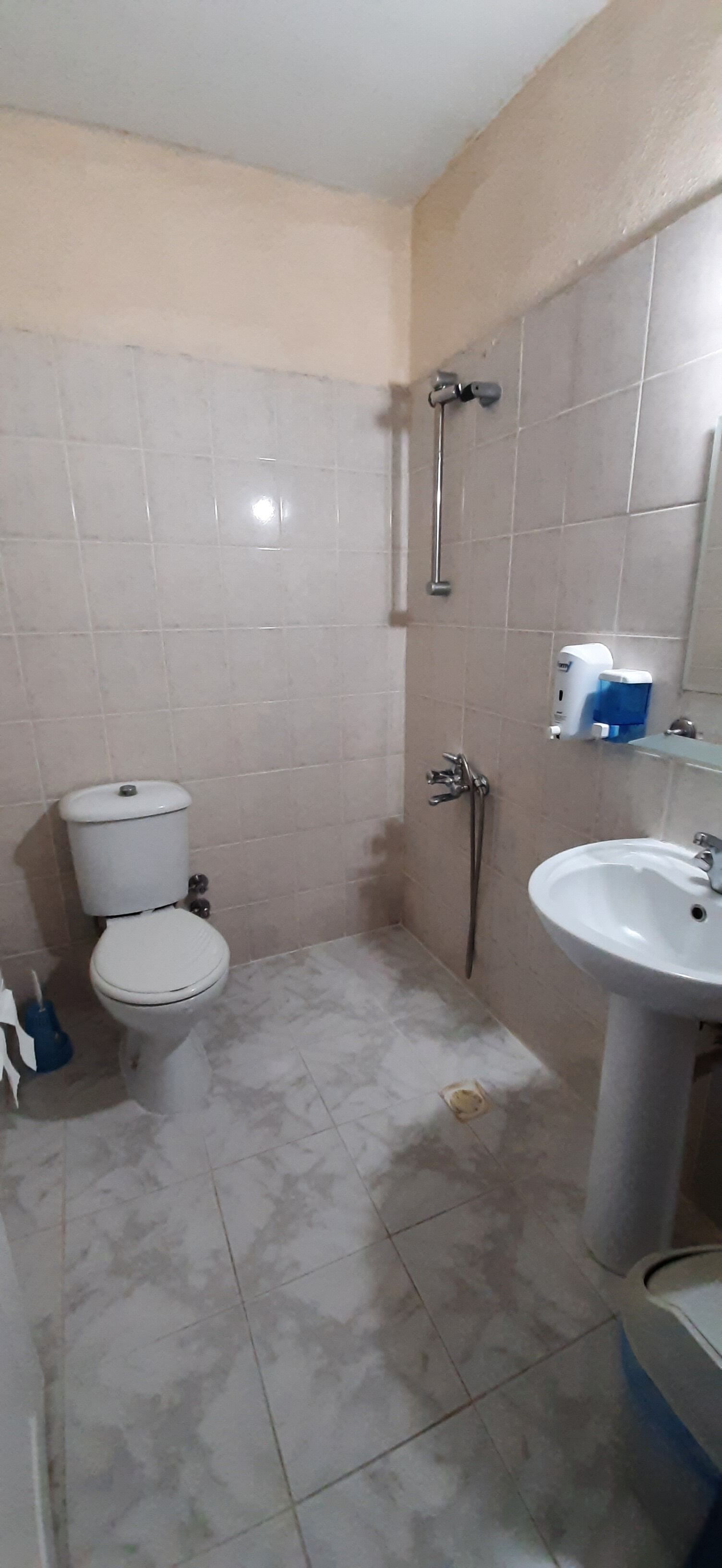 Une salle de bain avec des toilettes, une douche et un lavabo.