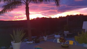 Solnedgang med palmetræ, plantekasser og havemøbler.