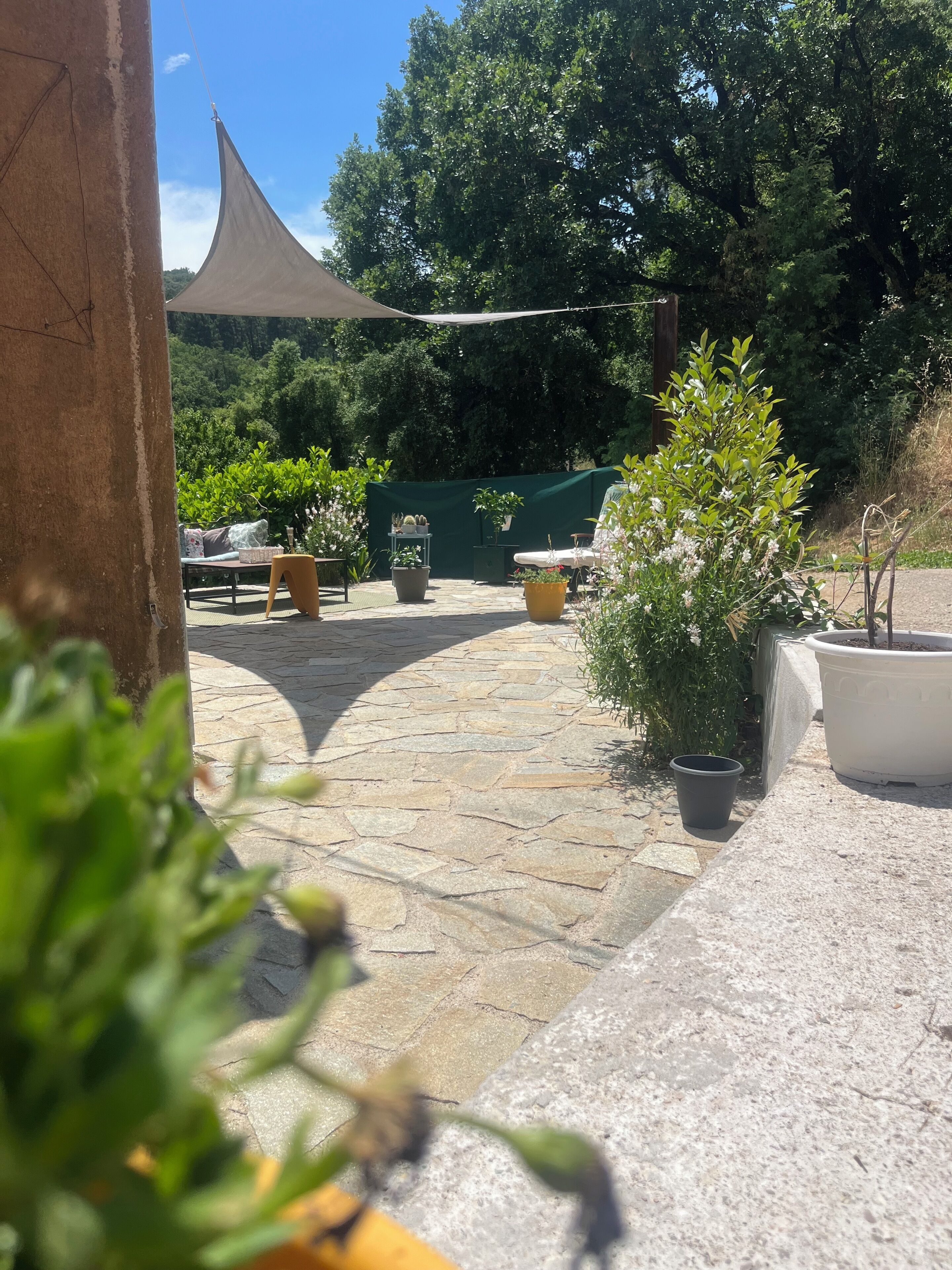 Terraza o patio