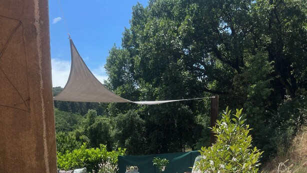 Ein Innenhof mit Steinpflaster, Blumentöpfen, Gartenmöbeln und grünem Hintergrund.