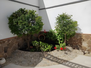 A small garden area with two trees, a stone wall, and a potted plant.