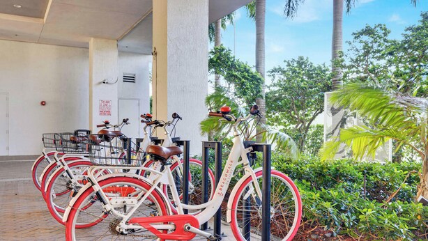Filera de bicicletes aparcades sota una zona coberta amb vista a la vegetació tropical.