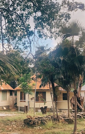 A residential area with houses, trees, and a fence.