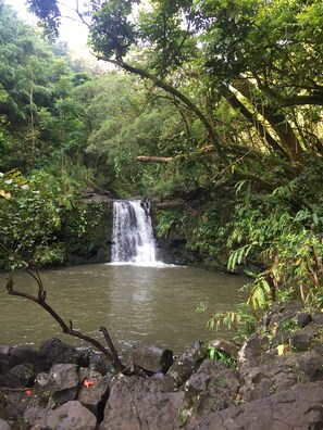 Ein Wasserfall in üppigem Wald.