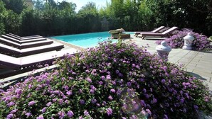 Zona de piscina con sillas de descanso, un elemento decorativo de roca y flores moradas.