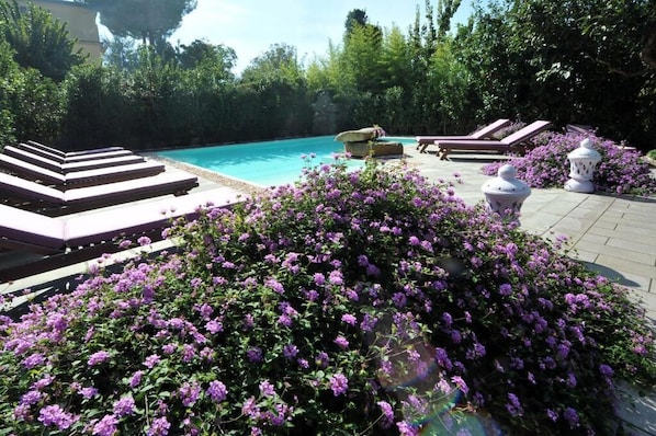 Ein Poolbereich mit Liegestühlen, einem Felsen und violetten Blumen.