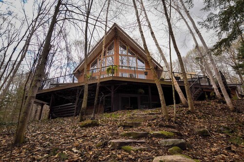 Rosseau Cathedral Grove