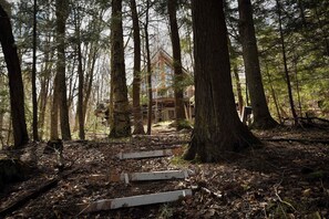 A forested area with a cabin-like structure surrounded by tall trees. - Rosseau Cathedral Grove (Rosseau)