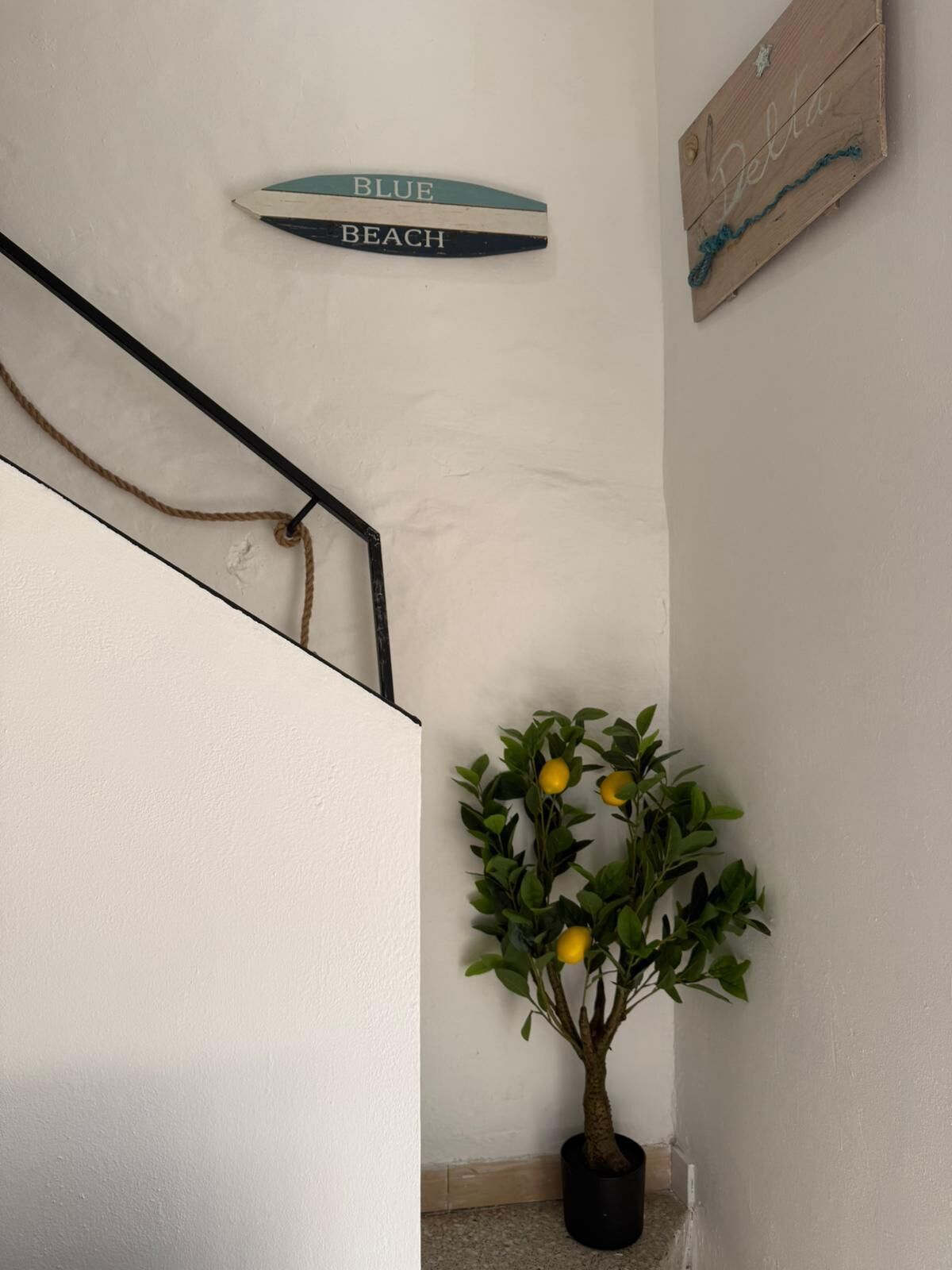 A staircase with a rope handrail, a potted plant with yellow flowers, and wall-mounted signs reading 'BLUE BEACH' and 'Delta.'