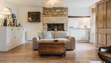 TV, fireplace, books, stereo