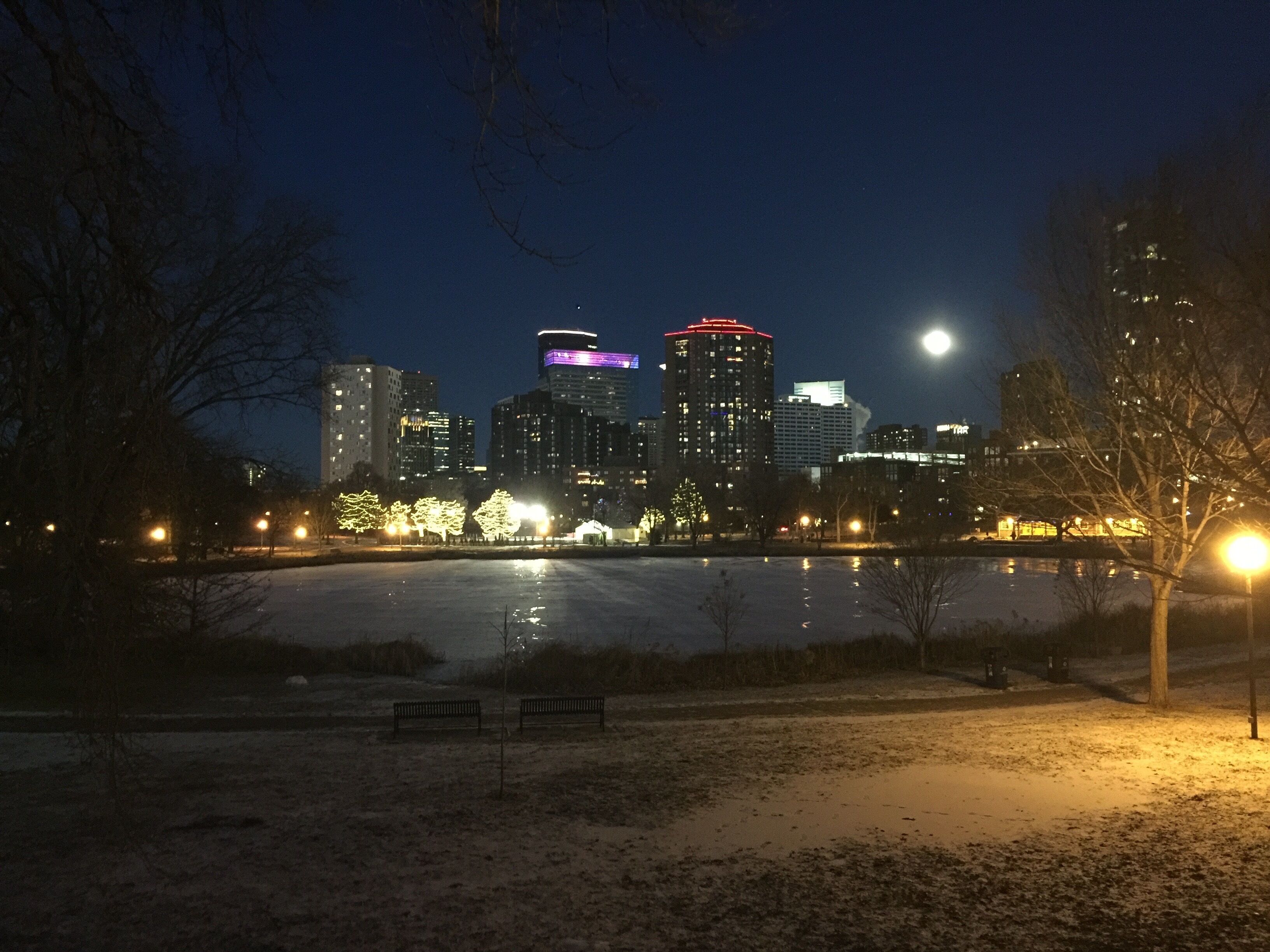 A nighttime cityscape with illuminated buildings, a body of water, and a park area with benches.