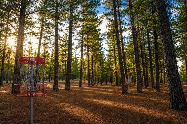 A disc golf course with chains and baskets, surrounded by tall pine trees. - Ponderosa Pines Resort (Parks)