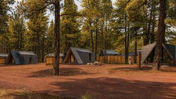 A series of modern, triangular-roofed cabins surrounded by tall pine trees in a forested area.