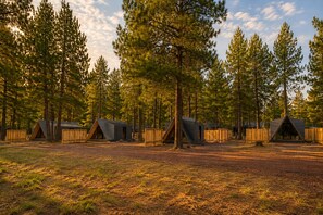 A campground with multiple triangular tents surrounded by tall pine trees. - Ponderosa Pines Resort (Parks)