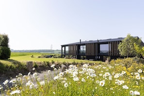 Ein modernes Haus mit großen Fenstern, umgeben von einem Feld voll Margeriten.