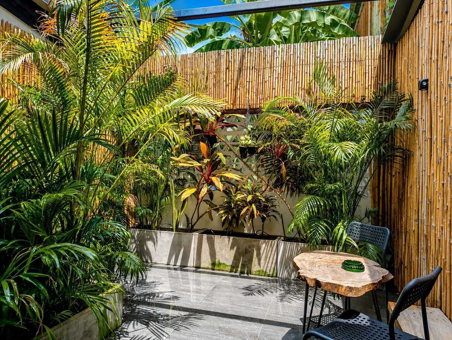 A patio area with a round table and chairs, surrounded by lush tropical plants and a bamboo fence.