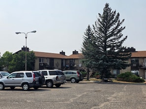A parking lot with several cars, a large evergreen tree, and a building with a brick facade and multiple windows.