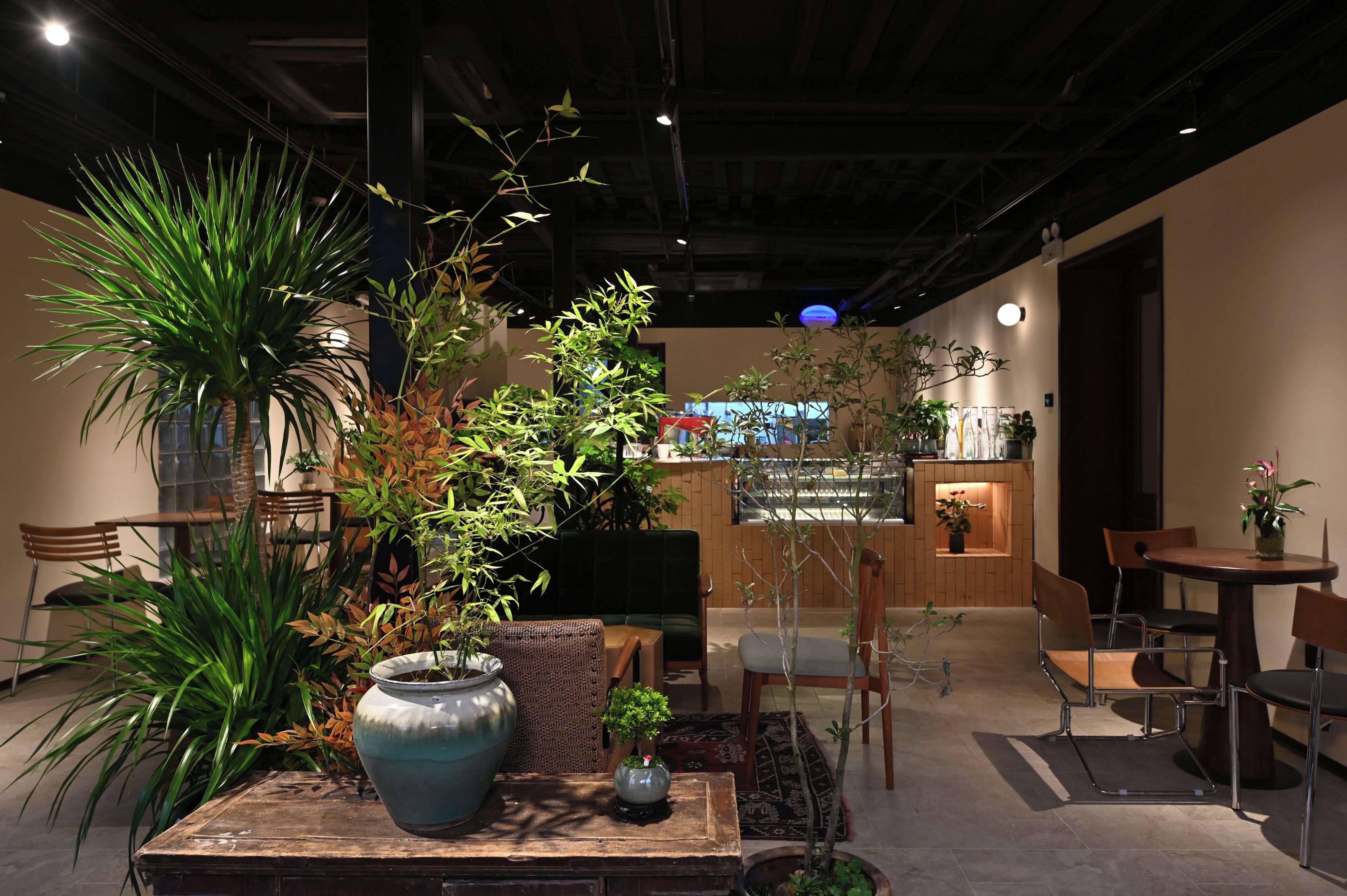 Un interior modern amb una taula de fusta, cadires i diverses plantes en testos.