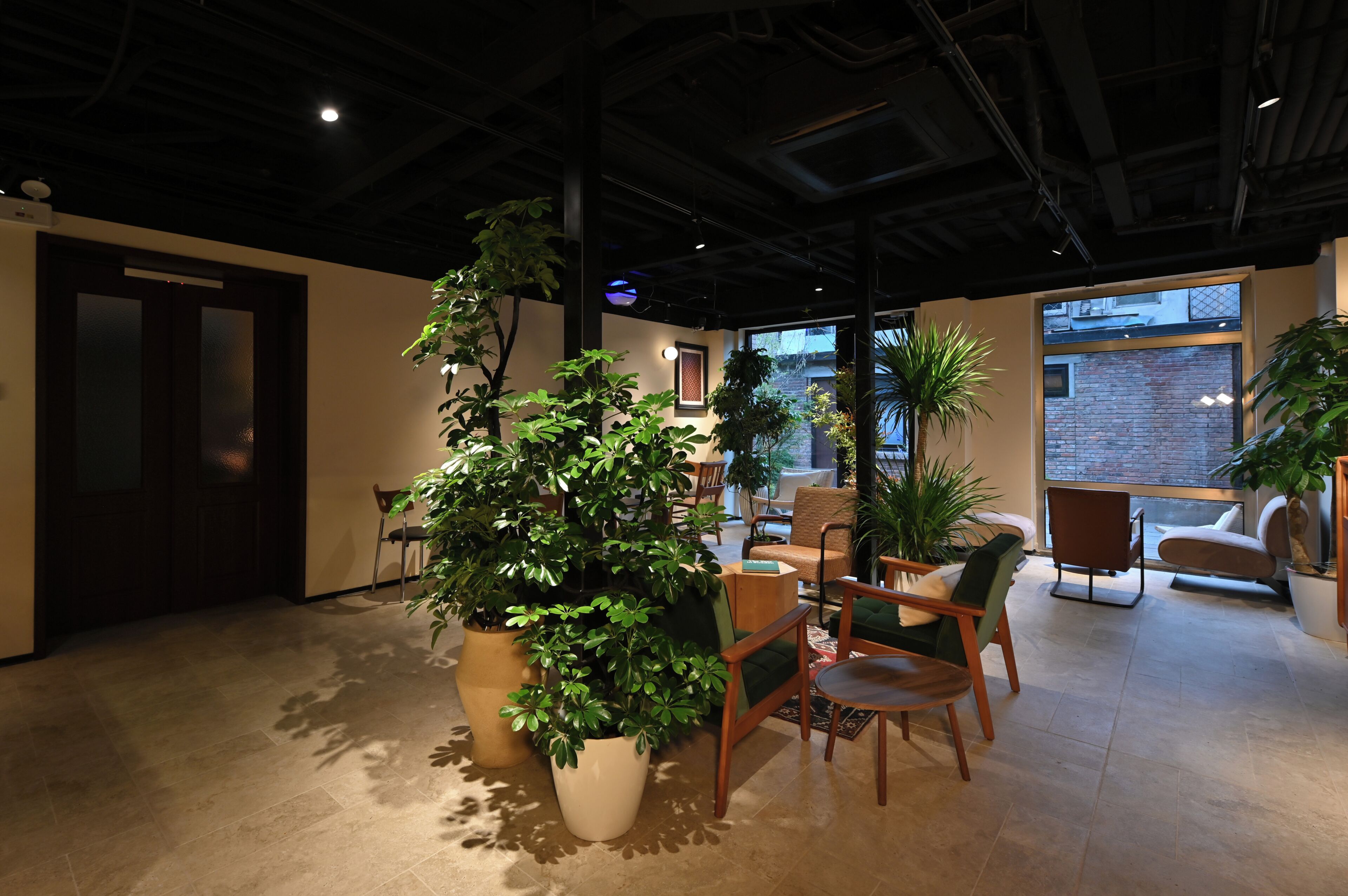 Un interior moderno con una planta grande en maceta, muebles de madera y ventanas amplias.