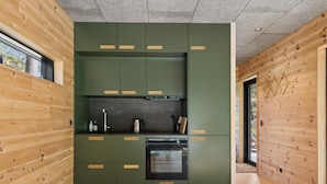 A modern kitchen with green cabinets and wooden accents, a built-in oven, and a window overlooking the outdoors. - 4 Star Holiday Home in Hasle (Hasle)