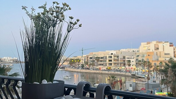 Un balcon agrémenté d’un pot de fleurs, d’une assiette d’œufs et offrant une vue sur le paysage urbain et l’eau.