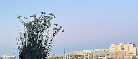 施設の敷地