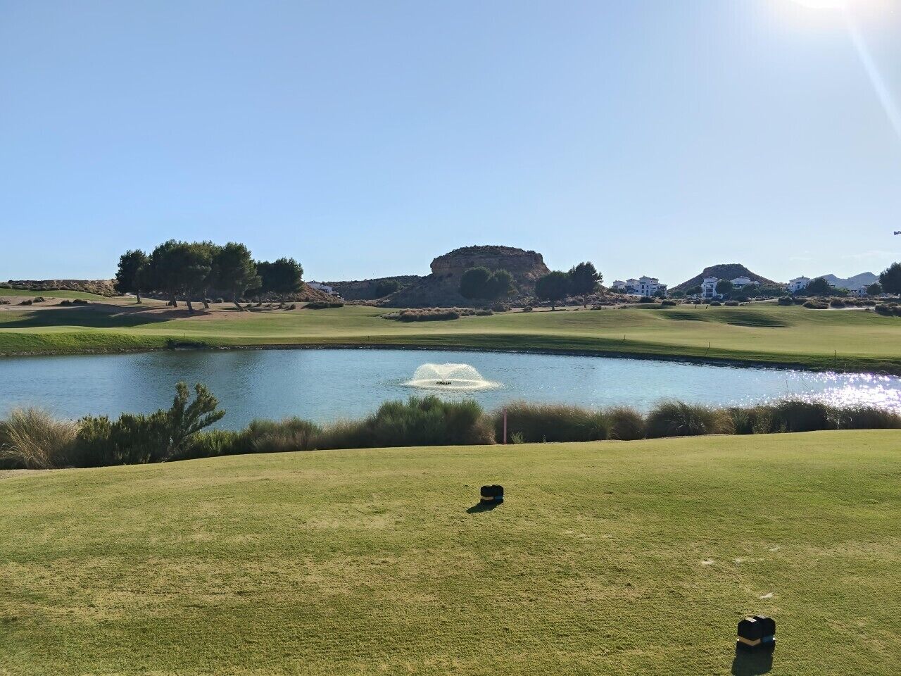 Un campo da golf con uno stagno, un cane e una collina in lontananza.