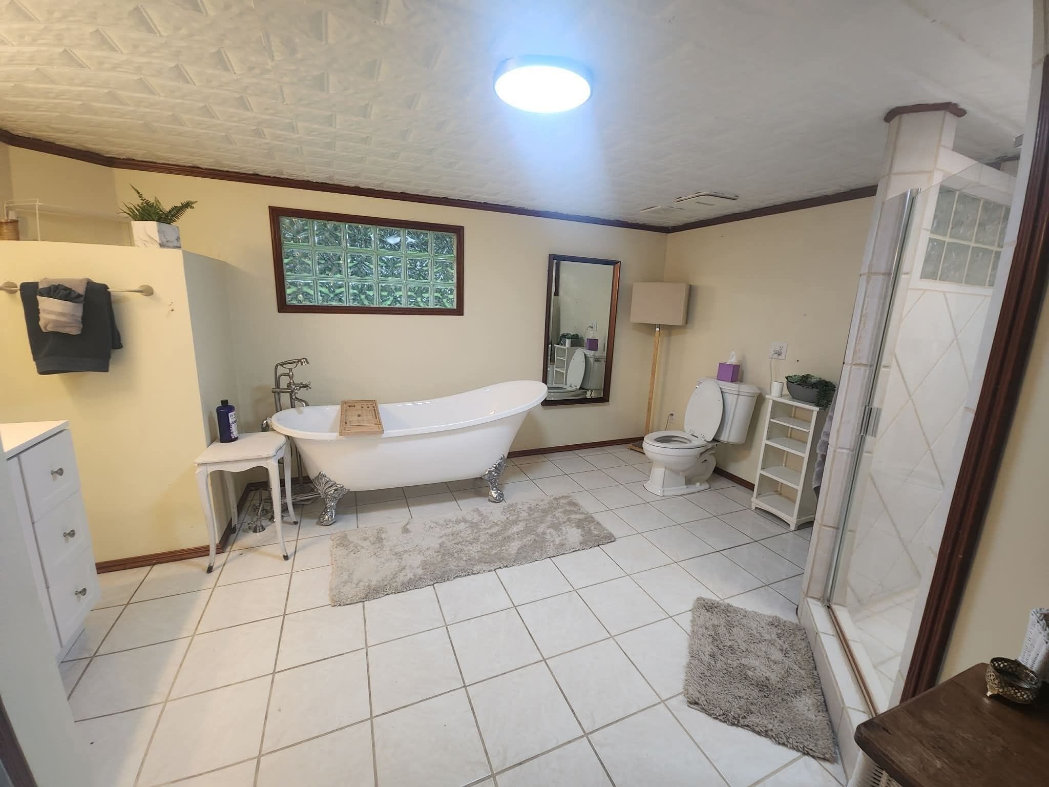 Hair dryer, towels, soap, toilet paper